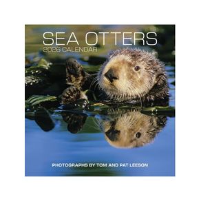 1164779.jpg 1164779.jpg