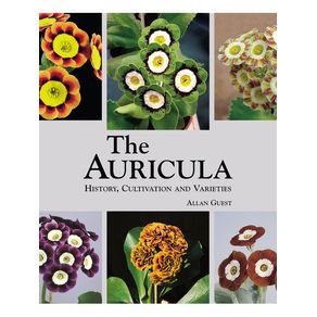 1165288.jpg 1165288.jpg