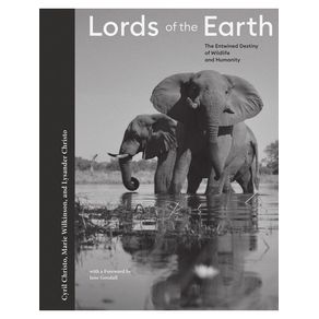 1167700.jpg 1167700.jpg