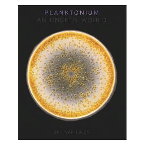 1168904.jpg 1168904.jpg