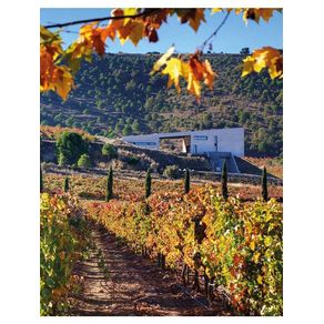 1170241.jpg 1170241.jpg