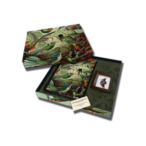 1170216.jpg 1170216.jpg