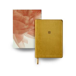 1172699.jpg 1172699.jpg