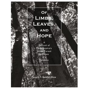 1168649.jpg 1168649.jpg