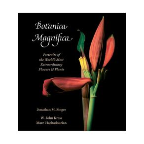 1165537.jpg 1165537.jpg