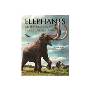 1180362.jpg 1180362.jpg