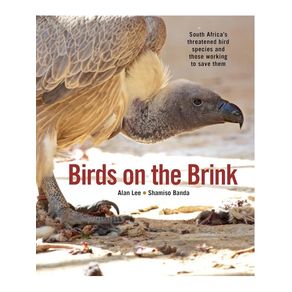 1180377.jpg 1180377.jpg