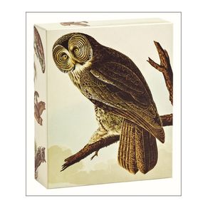 1180877.jpg 1180877.jpg