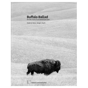 1181009.jpg 1181009.jpg