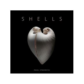 1182615.jpg 1182615.jpg