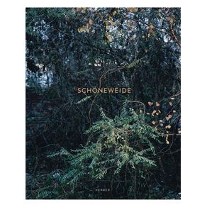 1181810.jpg 1181810.jpg