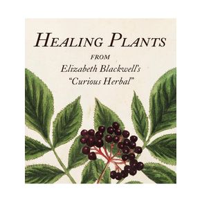 1166908.jpg 1166908.jpg