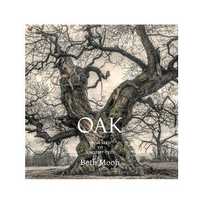 1168632.jpg 1168632.jpg