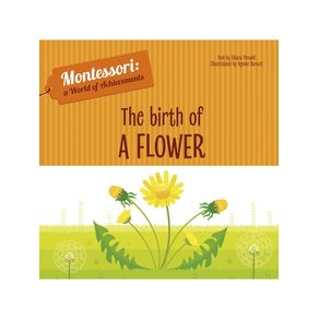 1169672.jpg 1169672.jpg