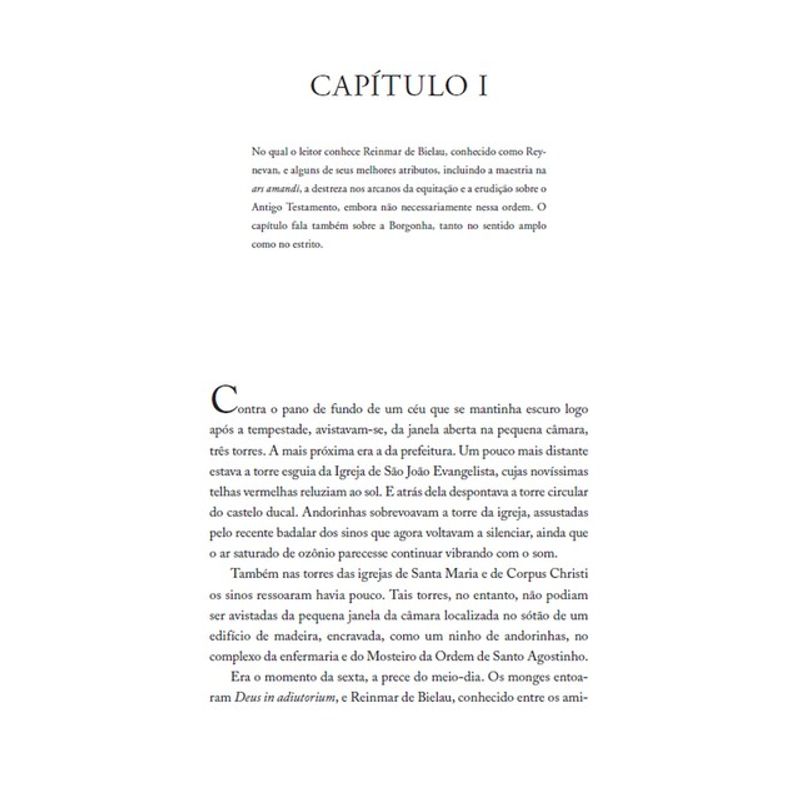 NARRENTURM - SAPKOWSKI, ANDRZEJ | Livraria Martins Fontes