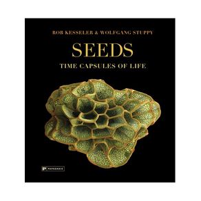 1169292.jpg 1169292.jpg