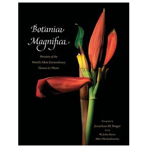 1165538.jpg 1165538.jpg