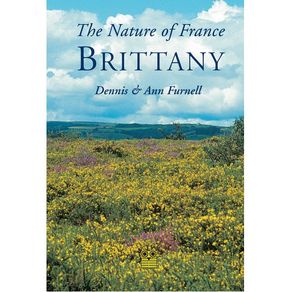 1168209.jpg 1168209.jpg