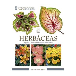 1190924.jpg 1190924.jpg