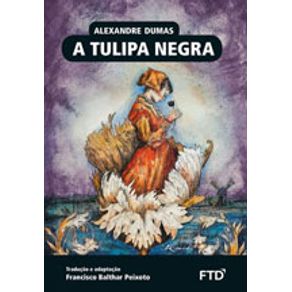 781342_detalhes.jpg 781342_detalhes.jpg