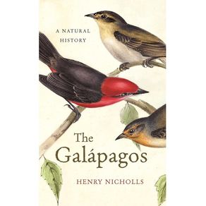 699577.jpg 699577.jpg