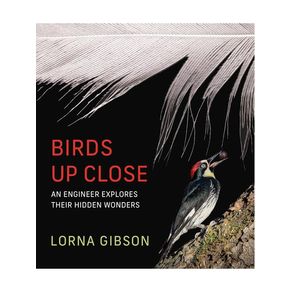 1194902.jpg 1194902.jpg