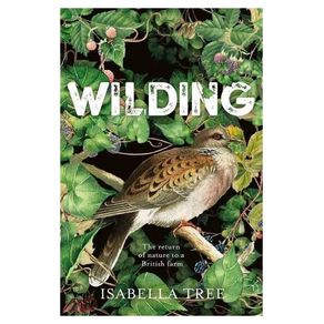 1196765.jpg 1196765.jpg