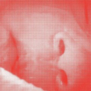 1201320.jpg