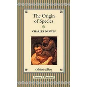 726890_detalhes.jpg 726890_detalhes.jpg