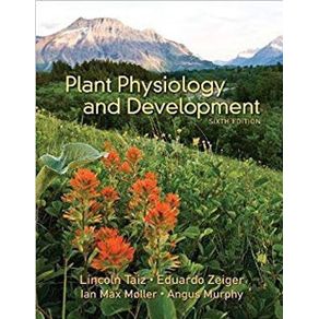 888369_ampliada.jpg 888369_ampliada.jpg