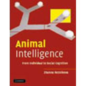 550804_vitrine.jpg 550804_vitrine.jpg