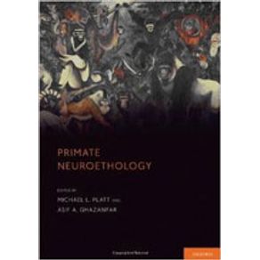 750819_detalhes.jpg 750819_detalhes.jpg