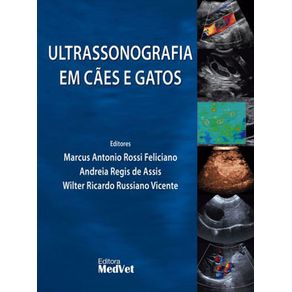 892237_ampliada.jpg 892237_ampliada.jpg