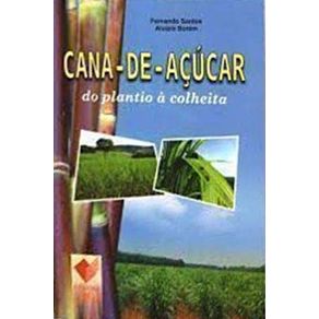 894076_ampliada.jpg 894076_ampliada.jpg