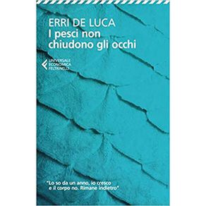 885413_ampliada.jpg 885413_ampliada.jpg