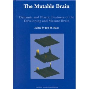 849543_ampliada.jpg 849543_ampliada.jpg