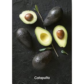 855507_ampliada.jpg 855507_ampliada.jpg