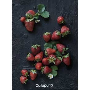 855511_ampliada.jpg 855511_ampliada.jpg