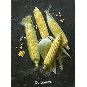 855510_ampliada.jpg 855510_ampliada.jpg