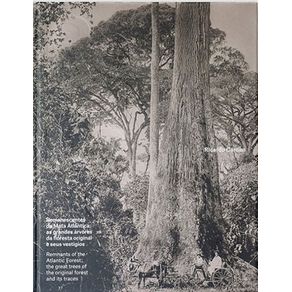 856527_ampliada.jpg 856527_ampliada.jpg