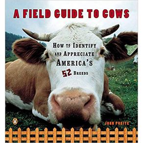 856809_ampliada.jpg 856809_ampliada.jpg