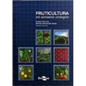 867162_vitrine.jpg 867162_vitrine.jpg