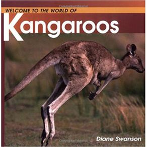 830801_ampliada.jpg 830801_ampliada.jpg