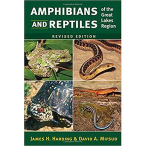 834070_ampliada.jpg 834070_ampliada.jpg