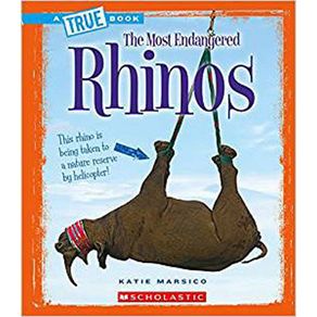 808533_ampliada.jpg 808533_ampliada.jpg