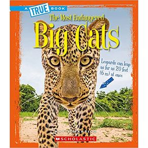 808530_ampliada.jpg 808530_ampliada.jpg