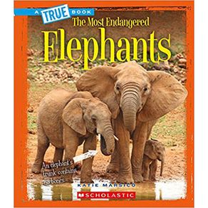 808531_ampliada.jpg 808531_ampliada.jpg