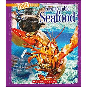 808537_ampliada.jpg 808537_ampliada.jpg