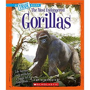 808532_ampliada.jpg 808532_ampliada.jpg