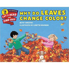 810377_ampliada.jpg 810377_ampliada.jpg